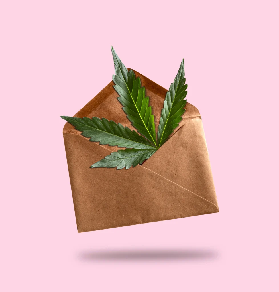 5 Questions Customers Will Ask Your Cannabis Delivery Service Staff