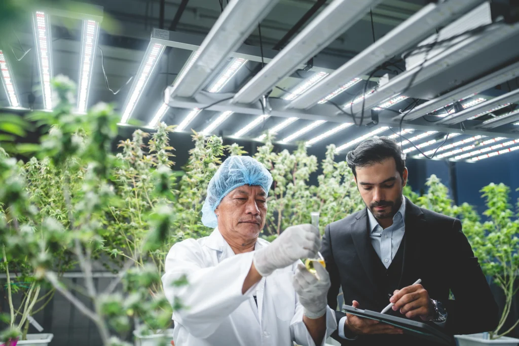 Connecting Cannabis: Craig and Marc Wasserman (Pot Brothers at Law)