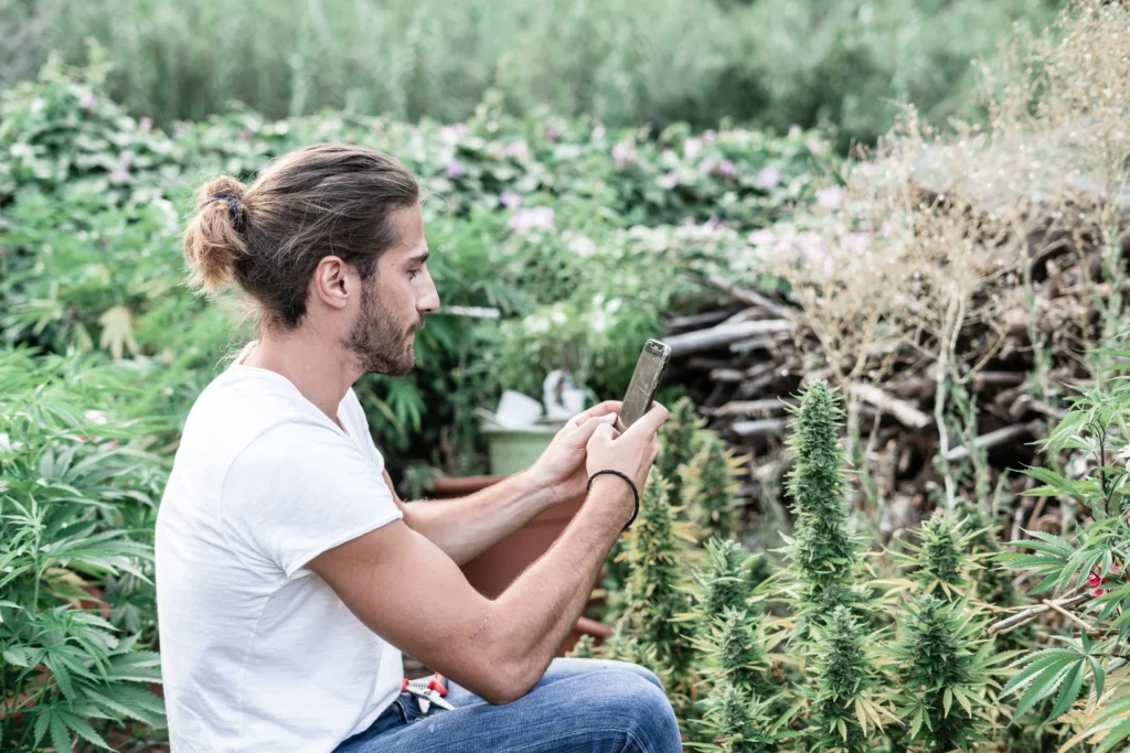 Make $30 for Every $1 Spent with Cannabis Text Message Marketing – A Conversation with Happy Cabbage CEO, Andrew Watson