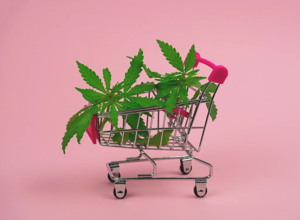 6 Ways Cannabis eCommerce Can Increase Sales for Your Delivery