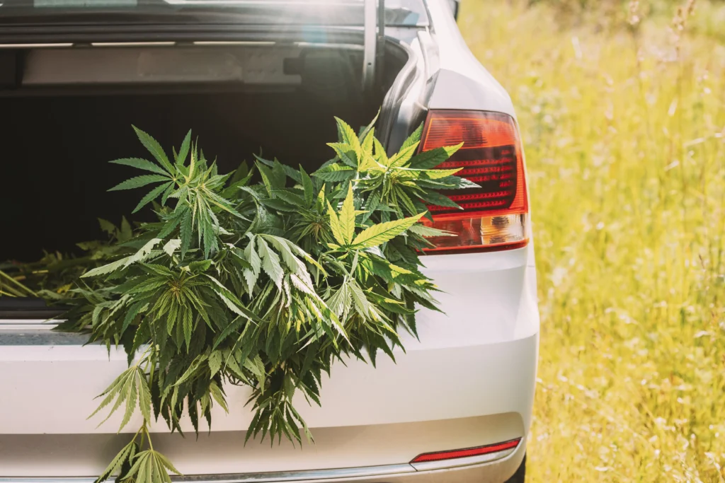 5 Regulation Changes for California Cannabis Delivery Services