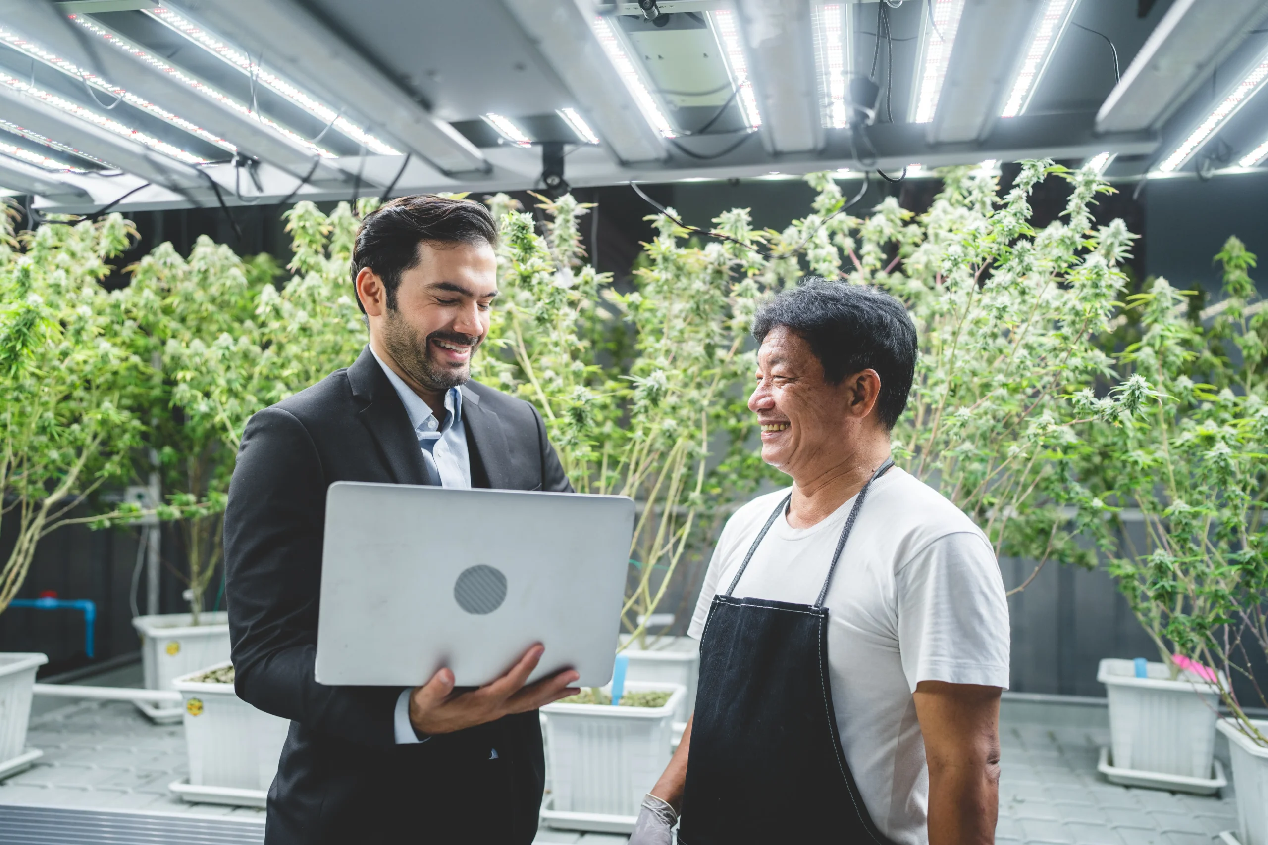 Weedmaps and WebJoint partner to simplify cannabis eCommerce