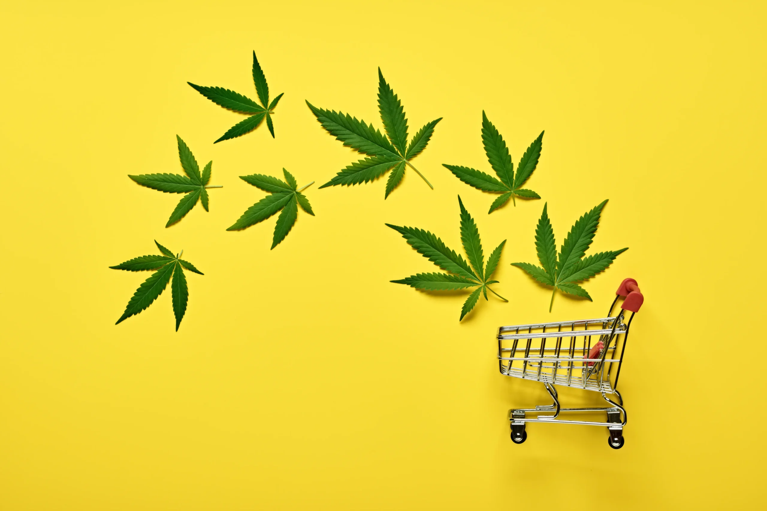 6 Ways Cannabis eCommerce Can Increase Sales for Your Delivery