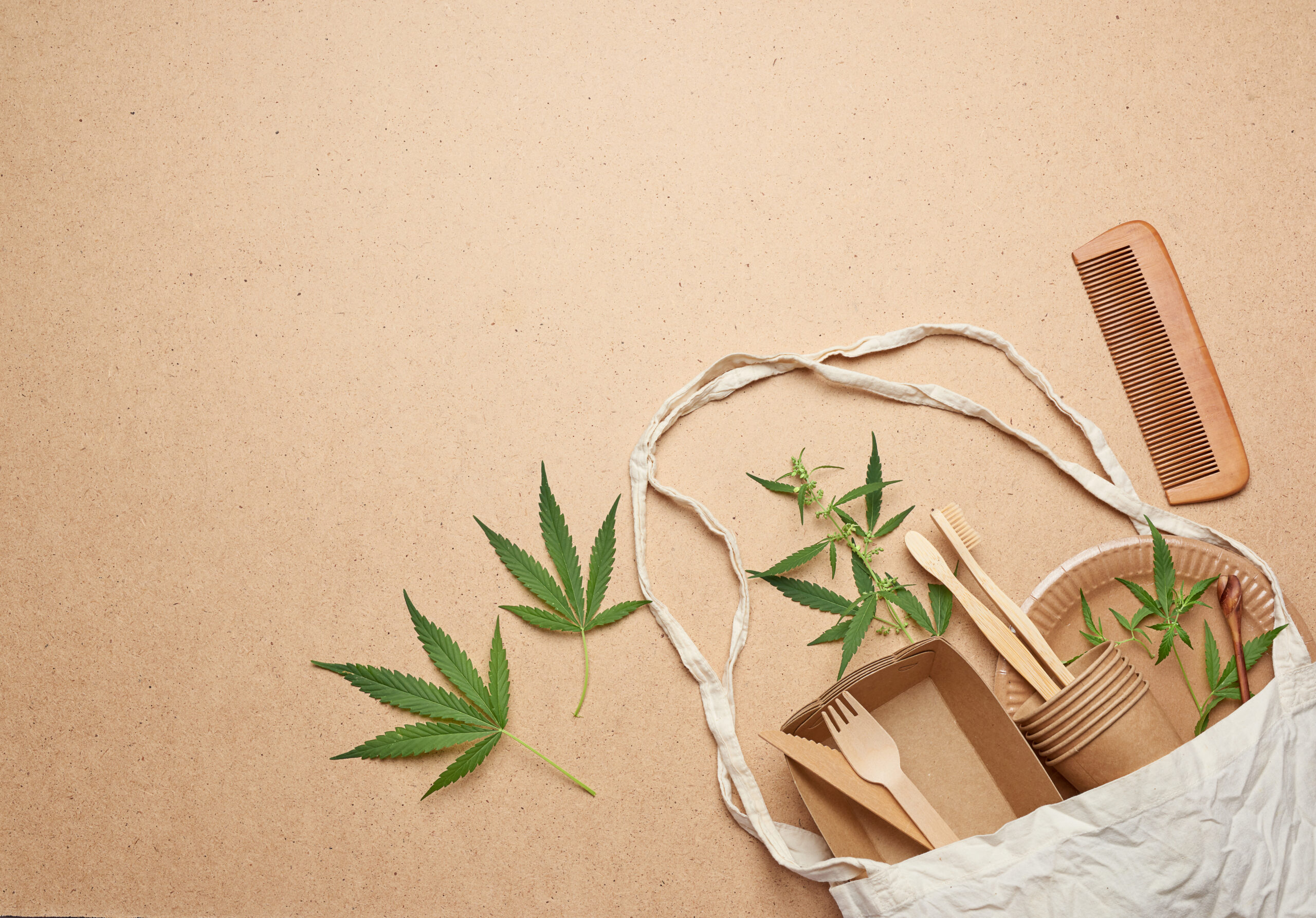 3 Basic Details to Know About the Brands Your Cannabis Delivery Service Carries