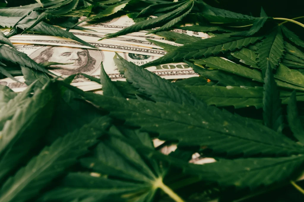 Breaking Down CA Cannabis Taxes to Your Customers