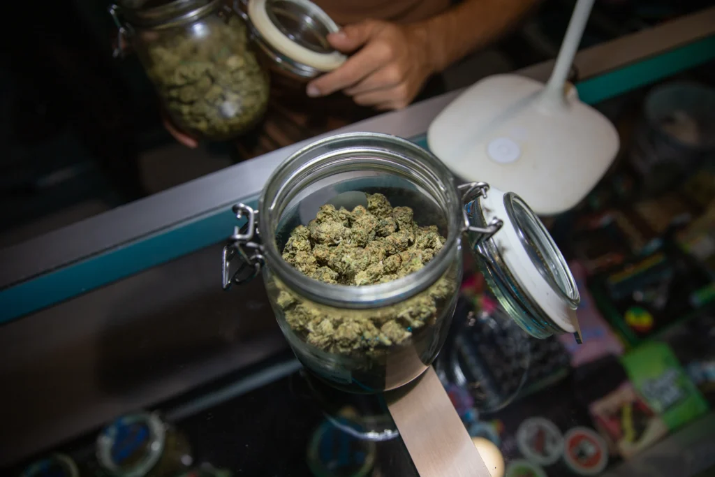 Open a NY Weed Dispensary in 2025 | Licensing Guide