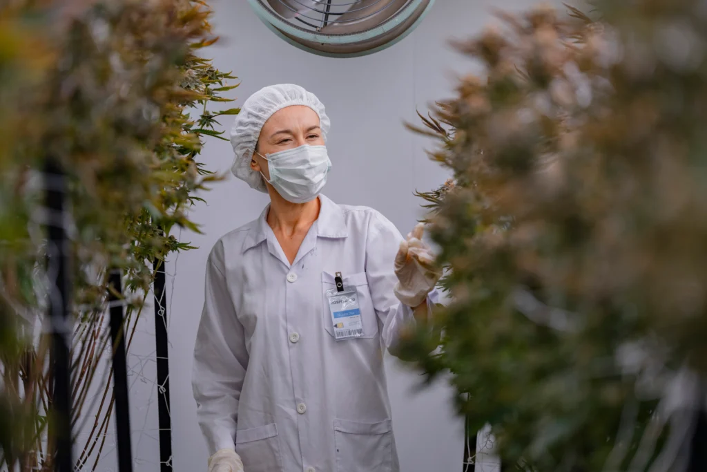 Open a Cannabis Dispensary in NY: 2025 Step-by-Step Guide