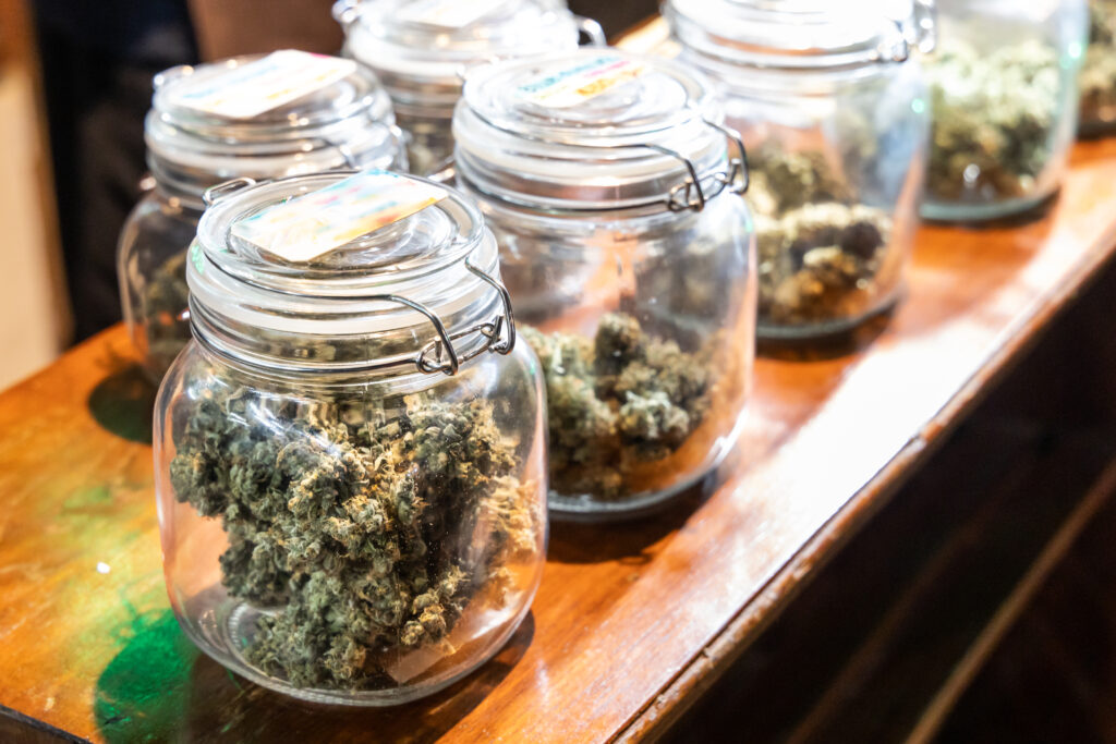 Open a NY Weed Dispensary in 2025 | Licensing Guide