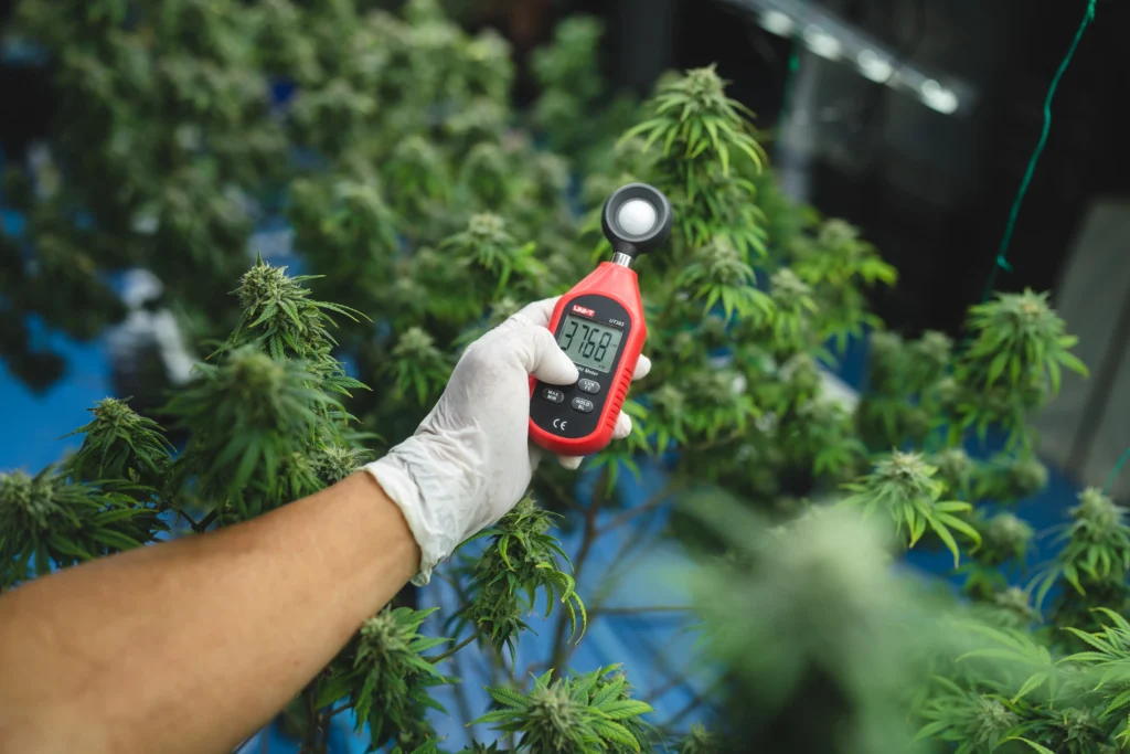 Cannabis Data Analytics Tools 2025 | Top Platforms