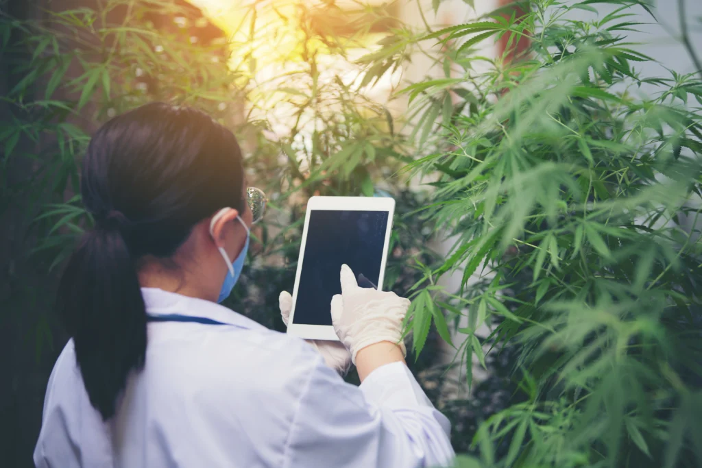 Automated Cannabis Tracking Software | WebJoint Guide