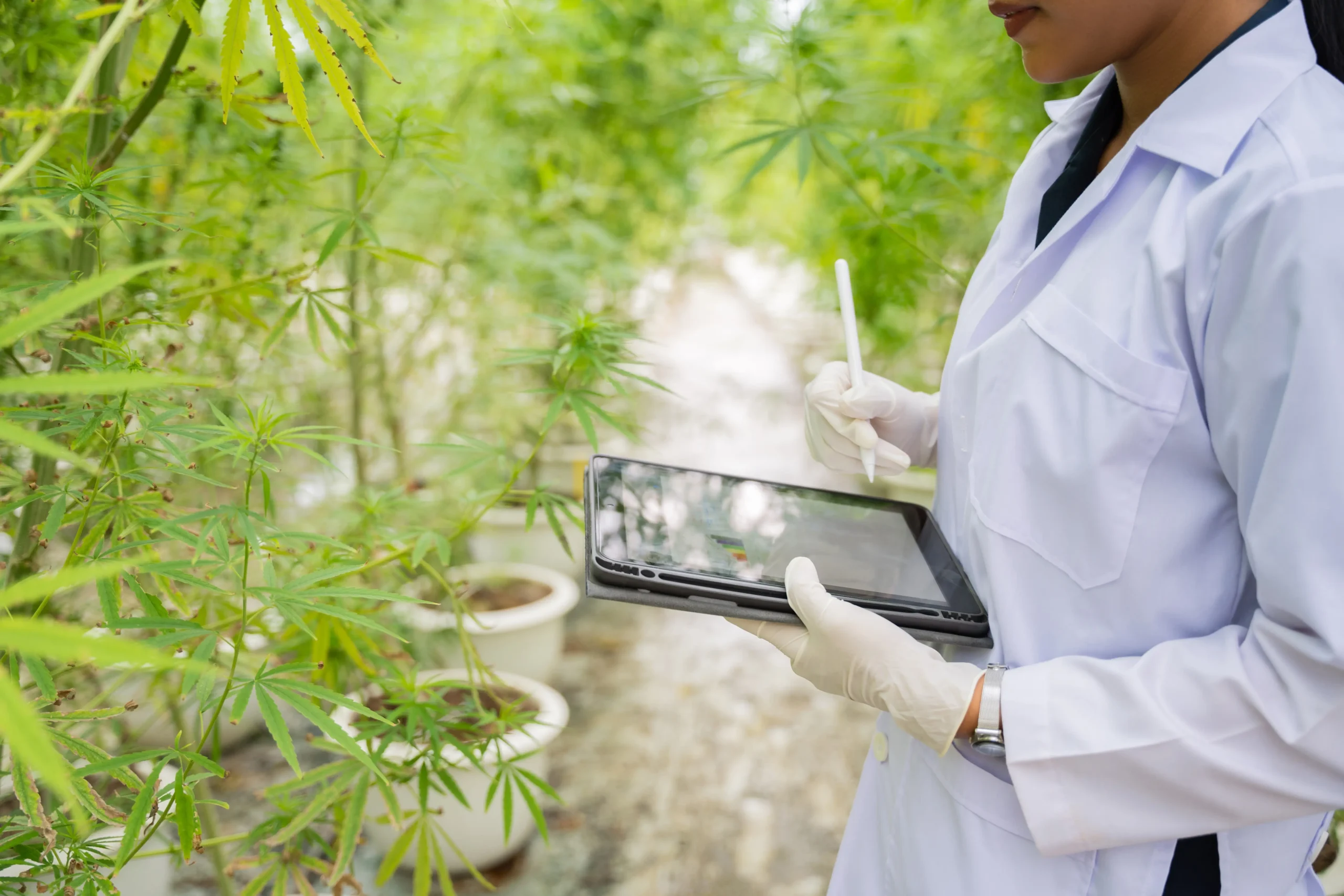 Automated Cannabis Tracking Software | WebJoint Guide